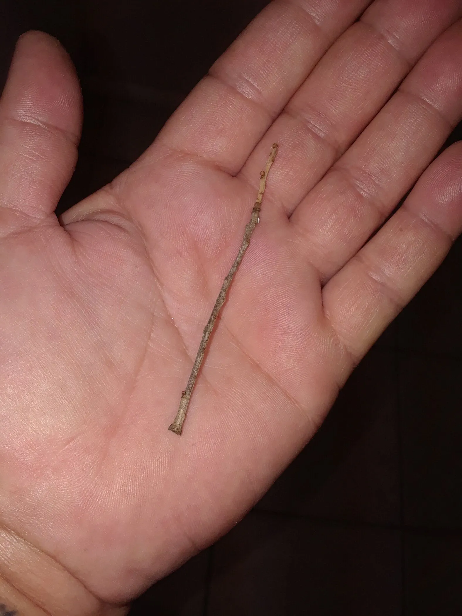 20190520_103534.jpg