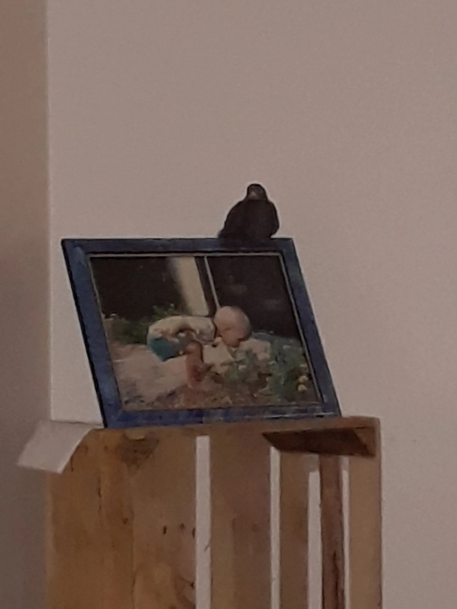 20190520_120125.jpg