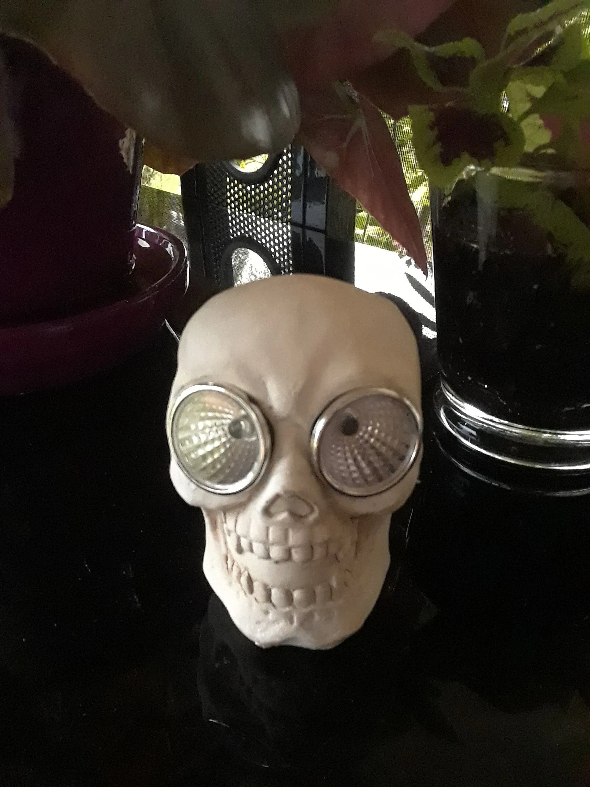 20201008_190130.jpg