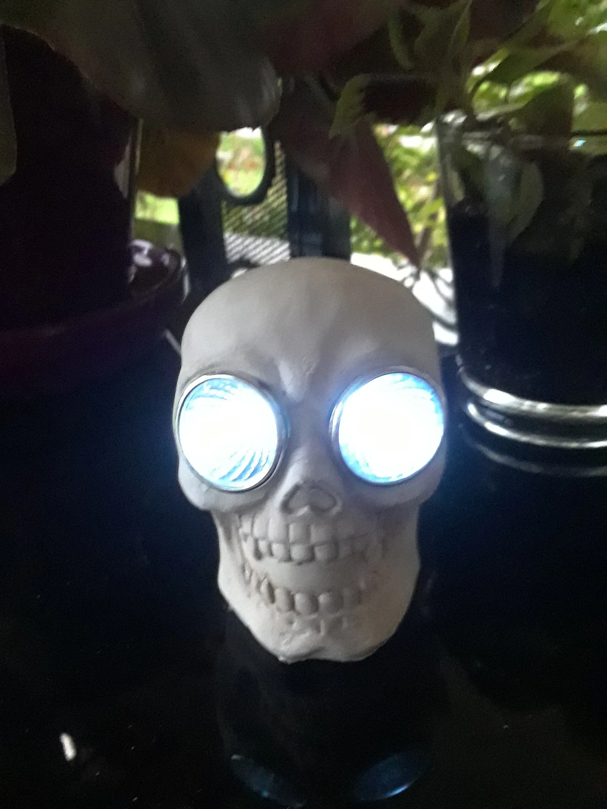 20201008_190230.jpg