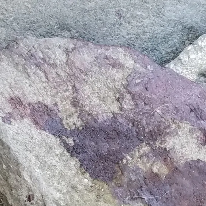 20220729_005534.webp