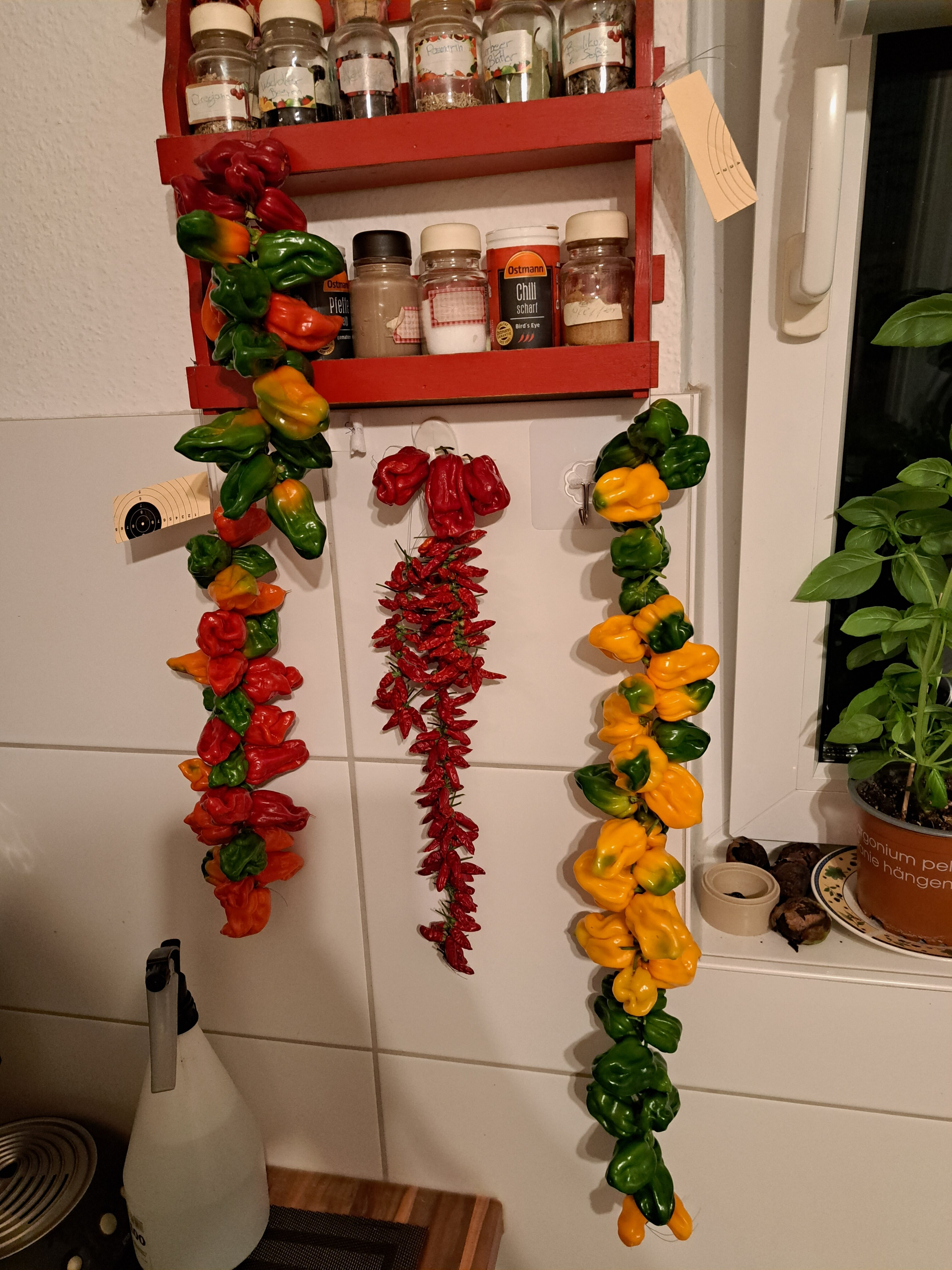 20220917_220924.jpg