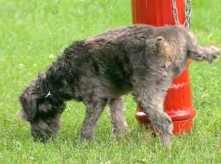 20220918_224538.webp
