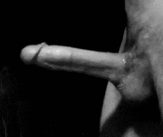 20inch.gif
