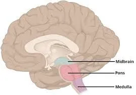 21077DF8-92AE-477D-82CE-DB31B0E85119.webp