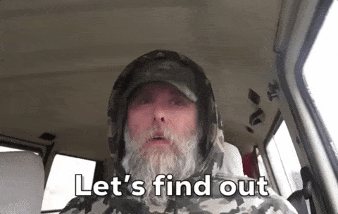 21567dabd156e95eb4b379a26da2a693b211d578_hq (1).gif