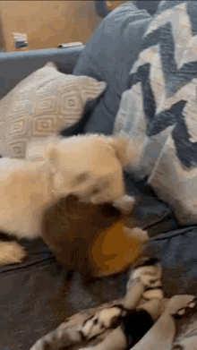 2330BD5B-7428-4492-9F11-7C402798D2C8.gif