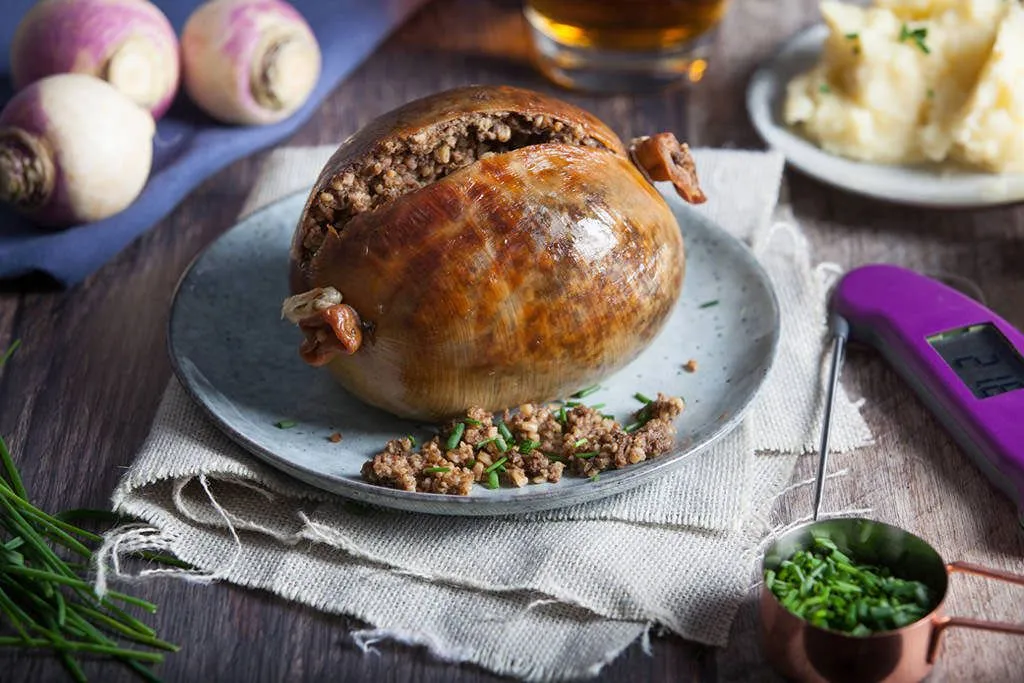 234-447-Thermapen-Purple-12-Haggis.webp