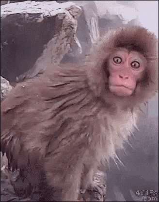 26DN5pBQzhqgAufPq.gif