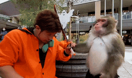 28a603382139_4360.gif