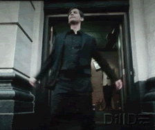 333438.gif
