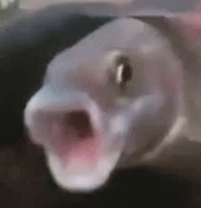 37a1cc226c9742a6cf295511f4e9d3d2.gif