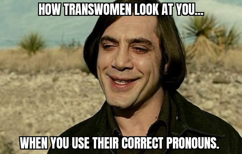 381464658_274741555488688_4130605780270413027_n.webp