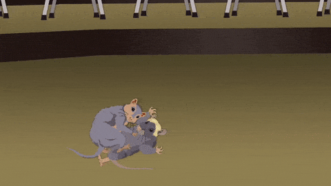 3o6Zt5wWvlUMymx2g0.gif