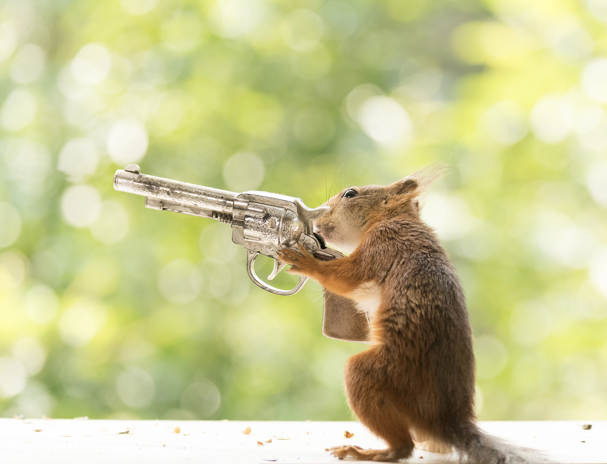 45dd258055f8403ca93ecac1c3f4fd11.webp