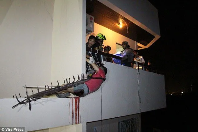 46DD672B00000578-0-image-a-52_1512130889001.webp
