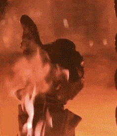 4ae2bae055b88149ca68e81759cad970.gif