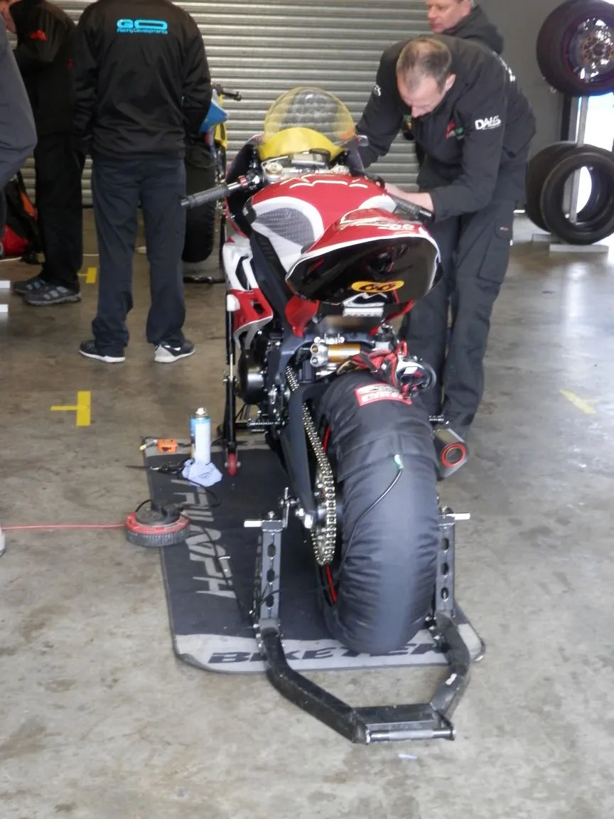 5.webp