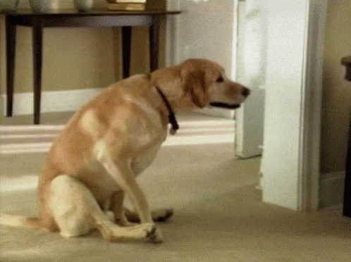 5907154E-7FA7-4910-9BC1-F1CE04B46834.gif