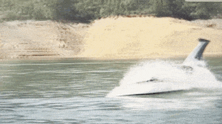 5c3e03_9b57310e9cca4393ac0e819193252b26~mv2.gif