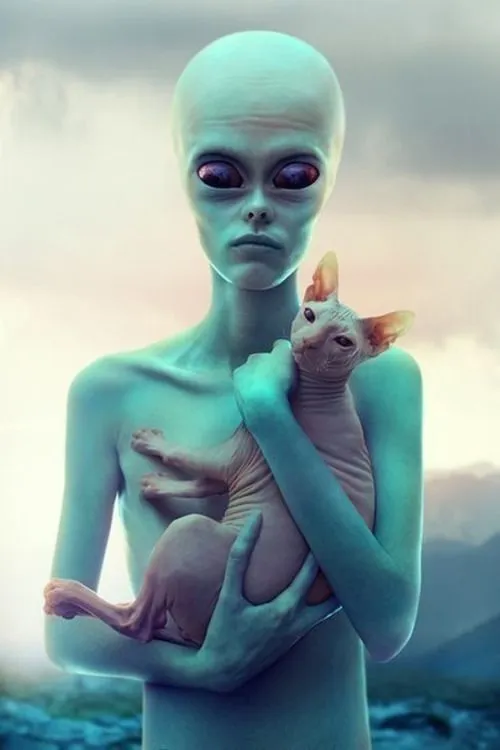 639c3d25af081ed9caf20f109acd5b25.webp