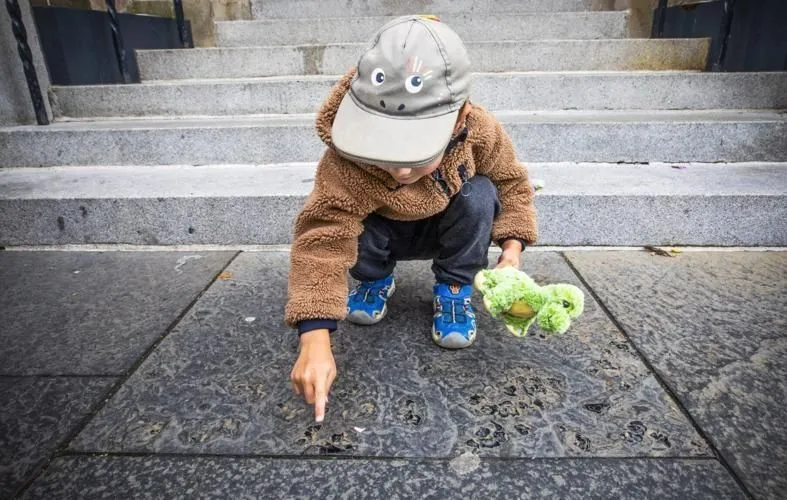 66d74b66c98a7.image.webp
