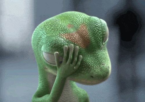 7695E52A-4C09-41B2-BC7A-70F259F50A4E.gif