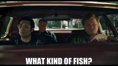 7a78e1bd-861a-4d74-9ba0-8be4b483b471_text.gif