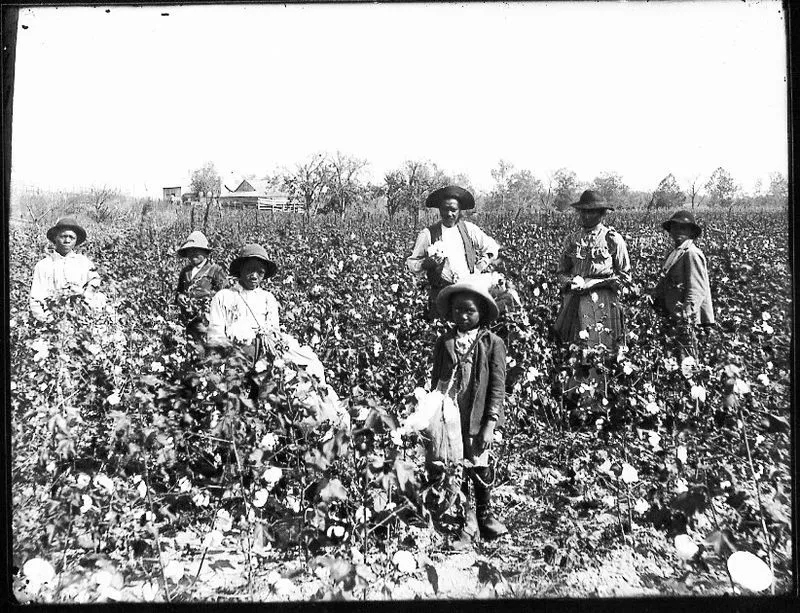 800px-Black_cotton_farming_family.webp