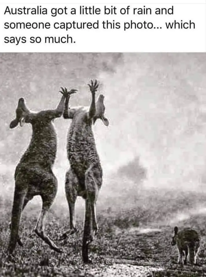 81999272_1252760268265230_5018988818057920512_n.webp