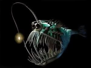 8d775e6a30843f89c22a1519000f2ec4.webp