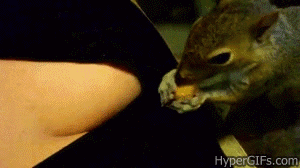 8TqYWQC.gif