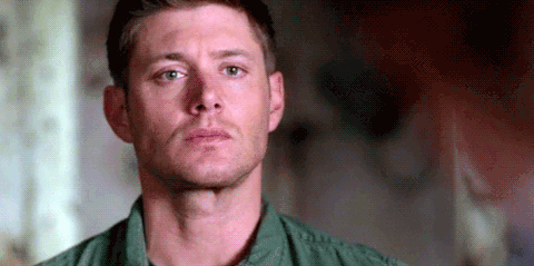 92vY.gif