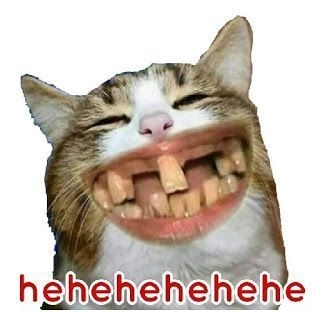 9375342e7d72be37f8518347f24b80f2.webp