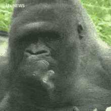 94B4F988-B53A-4FB8-9F48-8B6E8489C4B0.gif
