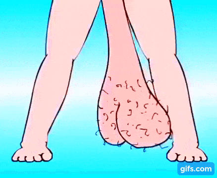 98zQDJ.gif