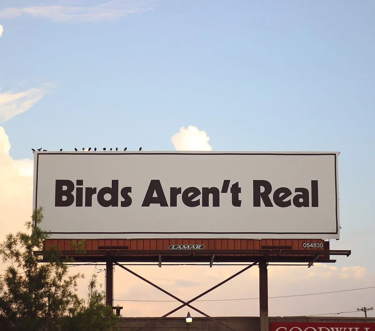 _Birds_Aren't_Real__billboard_in_Memphis.webp