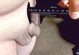 a small one.webp