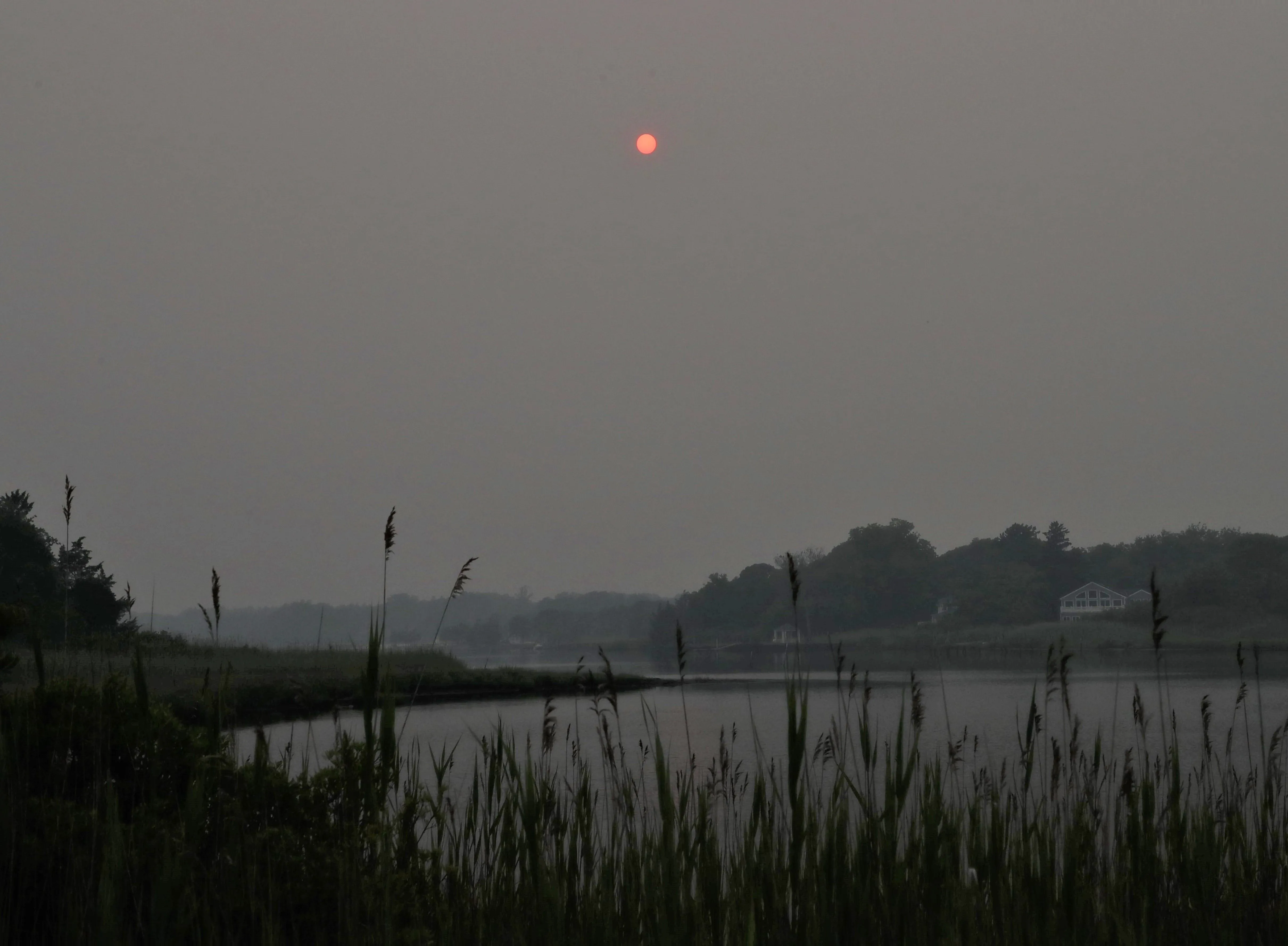 A50I2942 (4).webp