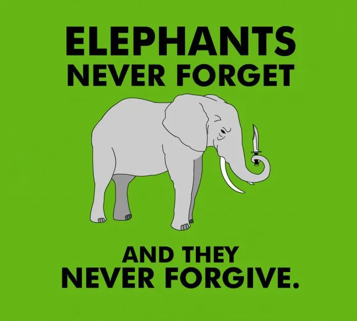 a623f1ba8f2c67319437dfbac10ee896.webp