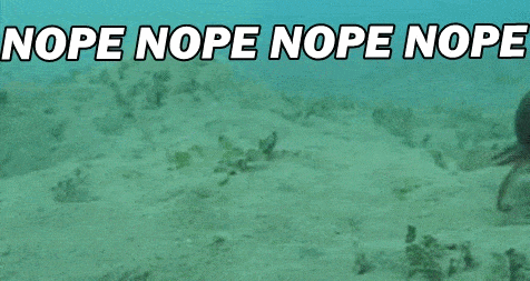ACBB2D8A-EEA6-4C4D-A2F6-A0990EF8F256.gif