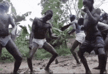 african-dance-african-bushman.gif