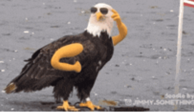 AISelect_20250927_155426_Chrome.gif
