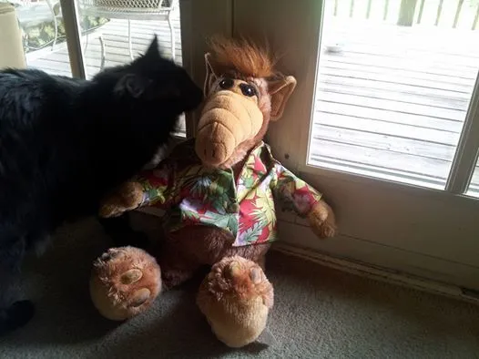 ALF.webp