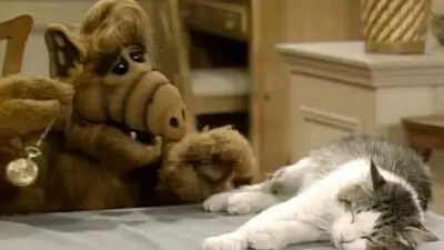 ALFyouregettingverysleepyCat.webp