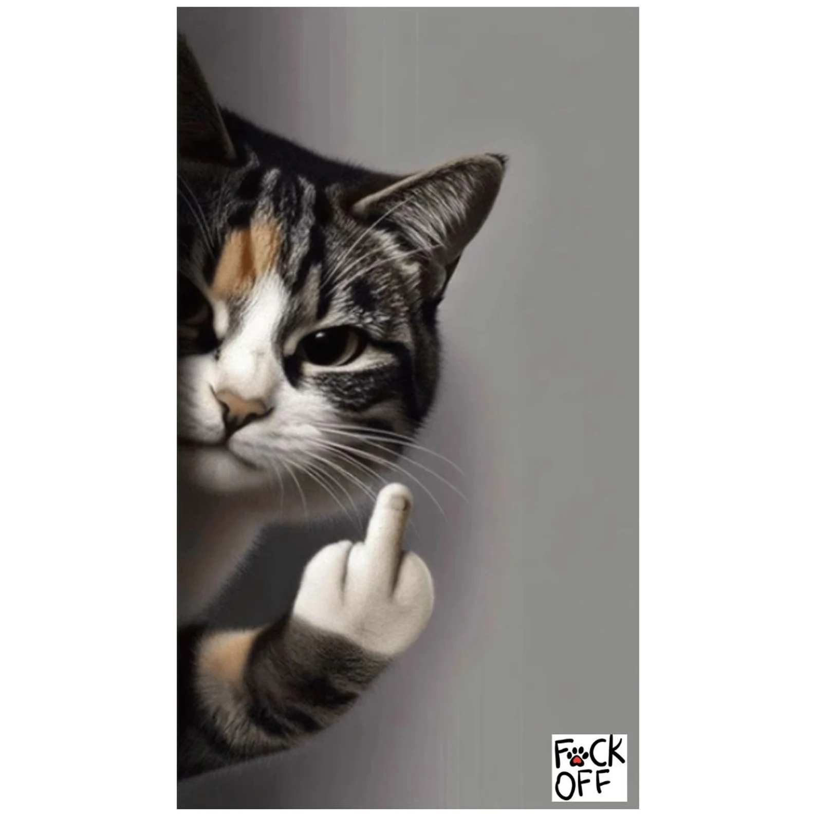 Angrycat.webp
