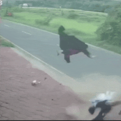 animation.gif