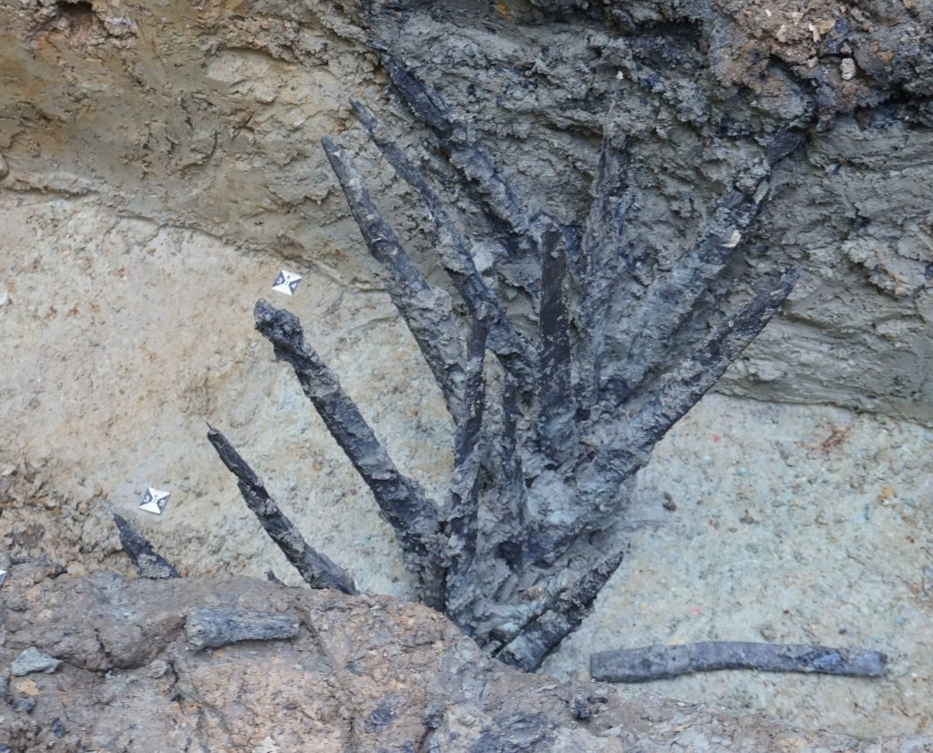 Archaeologists-have-discovered-wooden-defenses-surrounding-an-ancient-Roman-military-base-for...webp