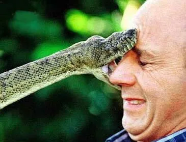 arent_snakes_great.jpg-1.webp