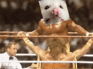 atkigp.gif